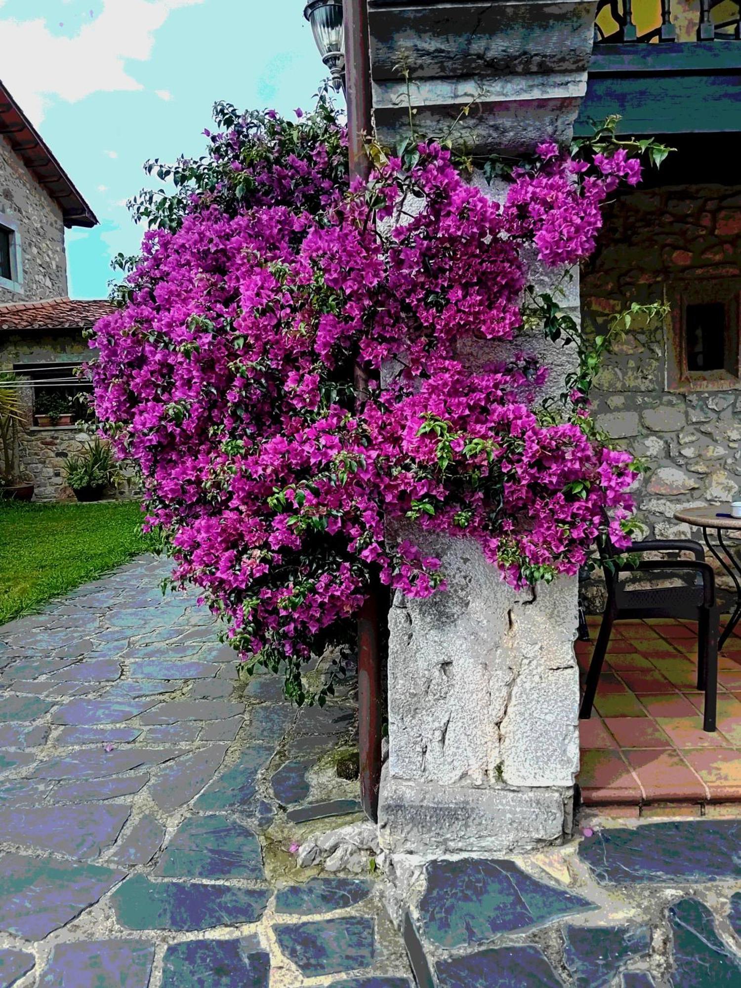 Gran Pedroso De Llanes Villa Eksteriør bilde